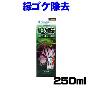 J~n^@A`O[ 250ml@y/Mы/Ϗ܋/zýzyʔ/̔zyANAE/肤ށzy^z