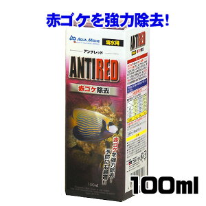 J~n^@A`bh 100ml@y/Mы/Ϗ܋/zýzyʔ/̔zyANAE/肤ށzy^z