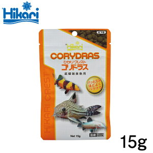 L[@ЂNXg@RhX@15g@ya  GTzyϏ܋@azy/Mы/Ϗ܋/zýzyʔ/̔zyANAE/肤ށzy^z