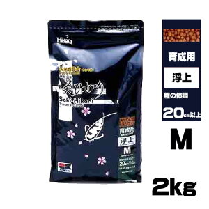 L[@Ђ 琬p M@5.0`5.5mm@2kg@ya  GTzyϏ܋@az@ya  GTzyϏ܋@azy/Mы/Ϗ܋/zýzyʔ/̔zyAN