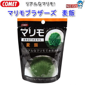 Rbg@}uU[Y@у}@y/Mы/Ϗ܋/zýzyʔ/̔zyANAE/肤ށzy^z