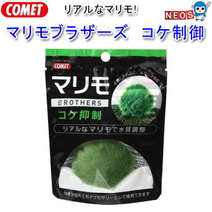 コメット マリモブラザーズ コケ抑制 【水槽/熱帯魚/観賞魚/飼育】【生体】【通販/販売】【アクアリウム/あくありうむ】【小型】