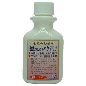 JUN@̔`@̂߂̃oNeA@100mLy񏤕iz@