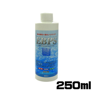 \lP~t@@EBPS(Wp)250ml@y/Mы/Ϗ܋/zýzyʔ/̔zyANAE/肤ށzy^z