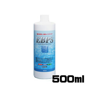 \lP~t@@EBPS(Wp)500ml@y/Mы/Ϗ܋/zýzyʔ/̔zyANAE/肤ށzy^z