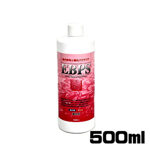 \lP~t@@EBPS(Cp)500ml@y/Mы/Ϗ܋/zýzyʔ/̔zyANAE/肤ށzy^z