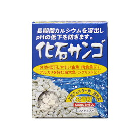 ソネケミファ　化石サンゴ　500g　ネット入り　【水槽/熱帯魚/観賞魚/飼育】【生体】【通販/販売】【アクアリウム/あくありうむ】【小型】