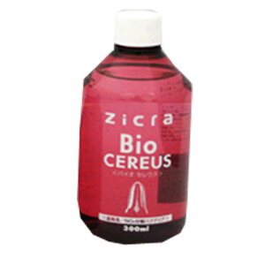 WN@oCIZEX@p^NO2oNeA@300mL@y/Mы/Ϗ܋/zýzyʔ/̔zyANAE/肤ށzy^z