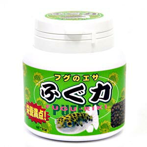 LWp@tOLiӂ́j@30g ytOpGTz@ya  GTzyϏ܋@azy/Mы/Ϗ܋/zýzyʔ/̔zyANAE/肤ށzy^