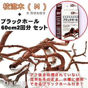  CAEgp@VR}M@y`󂨂܂z@+@ubNz[ Zbgy/Mы/Ϗ܋/zýzyʔ/̔zyANAE/肤ށzy^z