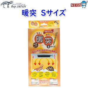 pPpt350~@bvWp@gˁ@Ƃ@STCY(2.1×19×s13cm)