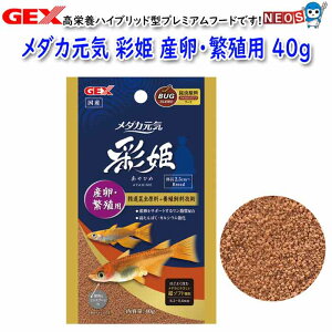 䂤pPbg290~GEX@_JC ʕP YEɐBp 40g