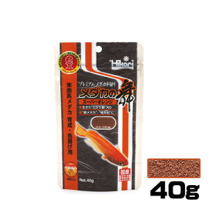 pPpt350~L[@_J̕@X[p[IW@40gya  GTzyϏ܋@az