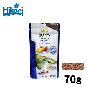 pPpt350~L[@ЂNXg@Obs[@70g@ya  GTzyϏ܋@az