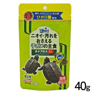 pPpt350~L[@JvX@~j@40g@ya  GTzyϏ܋@az