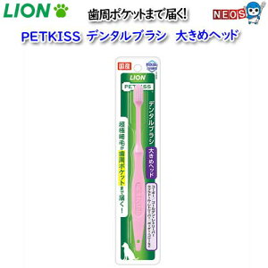 pPpt350~CI@PETKISS@f^uV 傫߃wbh@1{