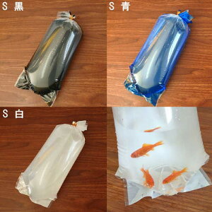 pPpt350~lIX@_JpJ[ےrj[܁@STCY@i10{փS20{j