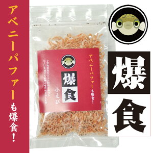 pPpt350~Axj[pt@[ɂ@yRzHс@10g@~htO@ɏGr