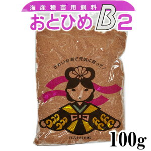 ߂̃GT@ƂЂ߁@B-2 F0D36-0D62mmȉ@100g@I