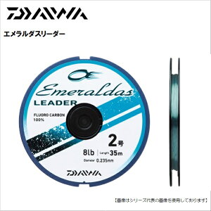 _C G_X[_[ 1.75 35m [֔z@[pi]