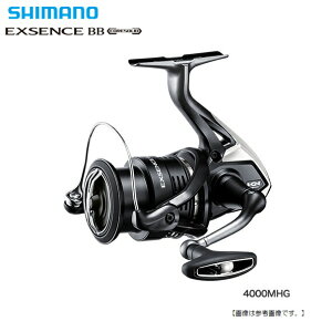 V}m 20 GNXZXBB 4000MHG [[]