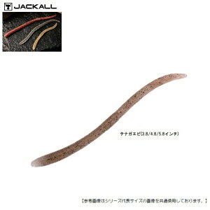 y1̓|Cg10{IzWbJ tbNVFCN 4.8C` 2g[ eiKGr [֔z [A[1]