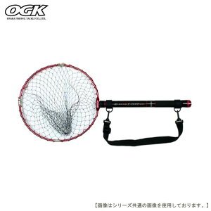 OGK pʂ̕Gt[Zbg 240 CKITFZS24 [bh]