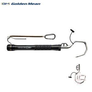 y1̓|Cg10{IzS[f~[ GMRpNgXsA[MtMZbg@ubN [pi5]