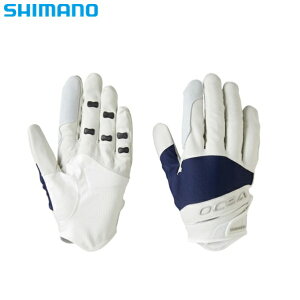 V}m IVA ^tO[u IVAlCr[ XL GL-001V [֔z [Ap]