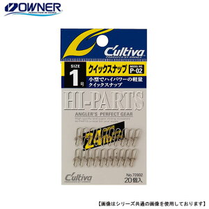 I[i[΂ JeBo NCbNXibv 1 P-02 [֔z [pi]