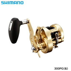 V}m 22IVARNGXg 300PG E  [[]