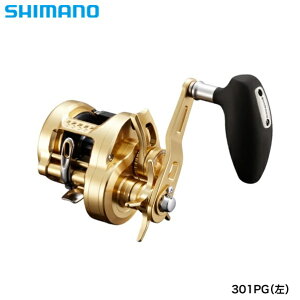 V}m 22IVARNGXg 301PG   [[]