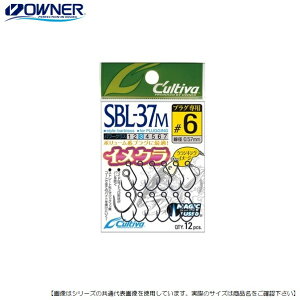 I[i[΂ JeBo NLOC[W SBL-37M 10 [֔z [pi]