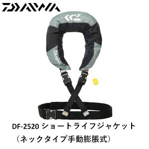 _C@DF-2520 V[gCtWPbg O[  [Ap]