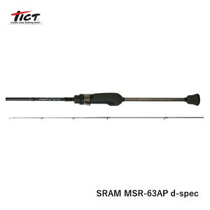 y1̓|Cg10{IzeBNg SRAM MSR-63AP d-spec  [bh]