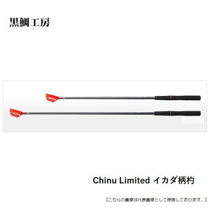 H[ ChinuLimitedCJ_ 110R  [pi]