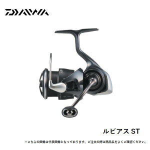 y1̓|Cg10{Iz_C 25rAX@ST SF2000SS-P  [[]