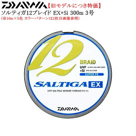 【旧モデルにつき特価】ダイワ ソルティガセンサー 12ブレイドEX+Si 300m 3号