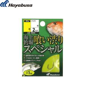 [IS603] nuT Cޖx t 򂢏aXyV 2{ e