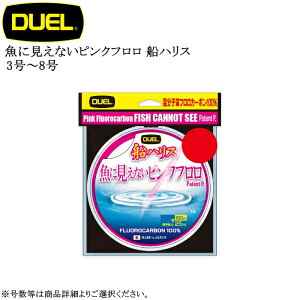 fG ɌȂsNt DnX 100m e