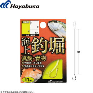 [IS600] nuT Cޖx t ^E e