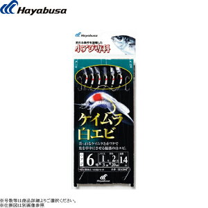 [HS202] nuT AW PCGr 6{b e