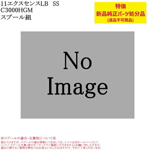 yp[czV}m 11GNXZXLB SS C3000HGM Xv[g