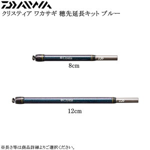 _C NXeBA JTM 扄Lbg u[ eTCY