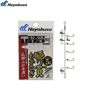 [C260] nuT uт킩 HcLcl^@LwӂU5{b