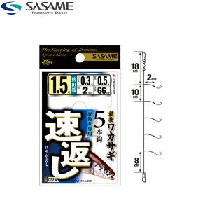 [CZ249] ߐj ZJTM Ԃ5{b