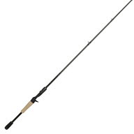 ワイルドサイドHP WHPC66M レジットデザイン (ベイトロッド)