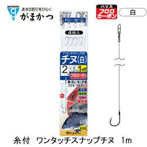 ܂ t ^b`Xibv`k 1m (tj `kj) 䂤pPbg