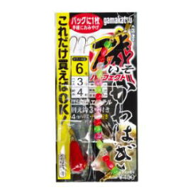 がまかつ 磯カワハギパーフェクト仕掛 KH-001 ゆうパケット可