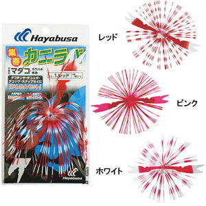 nuT W Jjo HR215@^RGM@^RWO 䂤pPbg